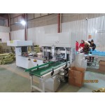 宠物尿布垫生产商-加厚除臭猫咪