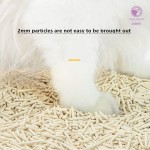 豆腐猫砂供应商-批发高品质