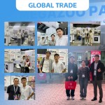 Bentonite Cat Litter Manufacturer - High Clumping Deodorizer