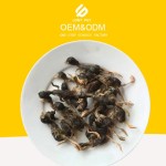 宠物零食厂家-OEM高品质冻干鹌鹑零食可定制有机肉毛鳃