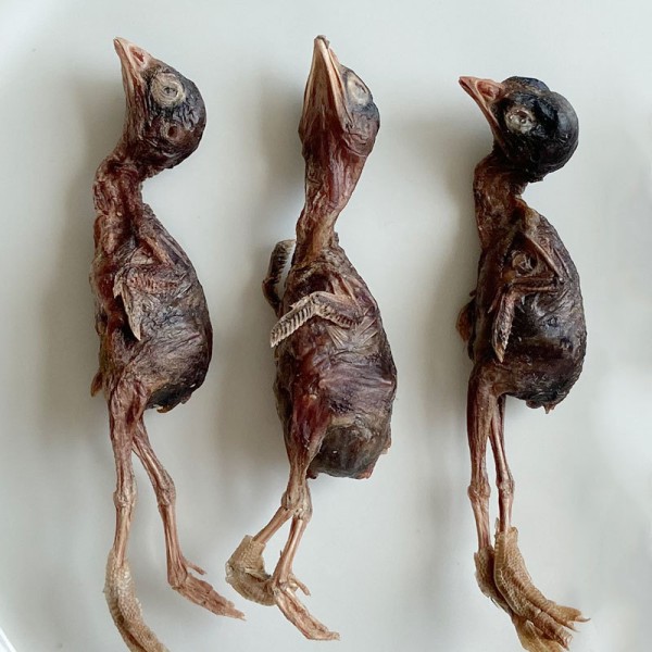 宠物零食厂家-批发高端冻干鹌鹑零食猫狗用大量