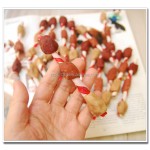 宠物零食厂家-新款有机牛肉味烤肉串耐嚼风干肉宠物零食