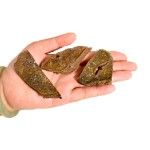 宠物零食厂家-OEM ODM工厂脆牛肝片宠物零食有机高蛋白