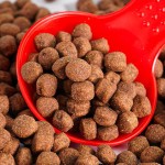 干狗粮厂家-免费样品无谷物增肌