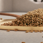 干猫粮生产商-代工定制100%天然