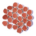 猫粮厂家-高比例鲜肉全价猫粮宠物猫粮OEM