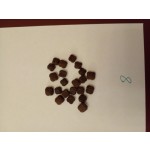 猫粮厂家-批发牛肉味猫粮定制包装OEM服务