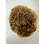 宠物罐头厂家-宠物罐头不同口味湿猫粮果冻OEM私有品牌