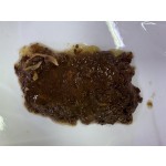 湿狗粮厂家-375克湿狗罐头多种口味配方OEM制造商