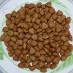 干狗粮厂家-鸡肉味干颗粒粮饮食散装干狗宠物食品零食