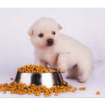 狗咬胶厂家-批发海星形状压制有机狗咬胶狗零食