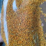 Mixed Bee Pollen Manufacturer - Wholesale Custom Organic Rape