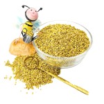 Rape Bee Pollen Granules Manufacturer - OEM Custom Food Grade