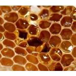 Raw Honeycomb Manufacturer - OEM Custom Unfiltered Beehive