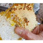 Organic Comb Honey Factory - Wholesale Custom Raw Bee Honey