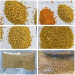Bee Pollen Powder Manufacturer - Wholesale Custom Organic Rape