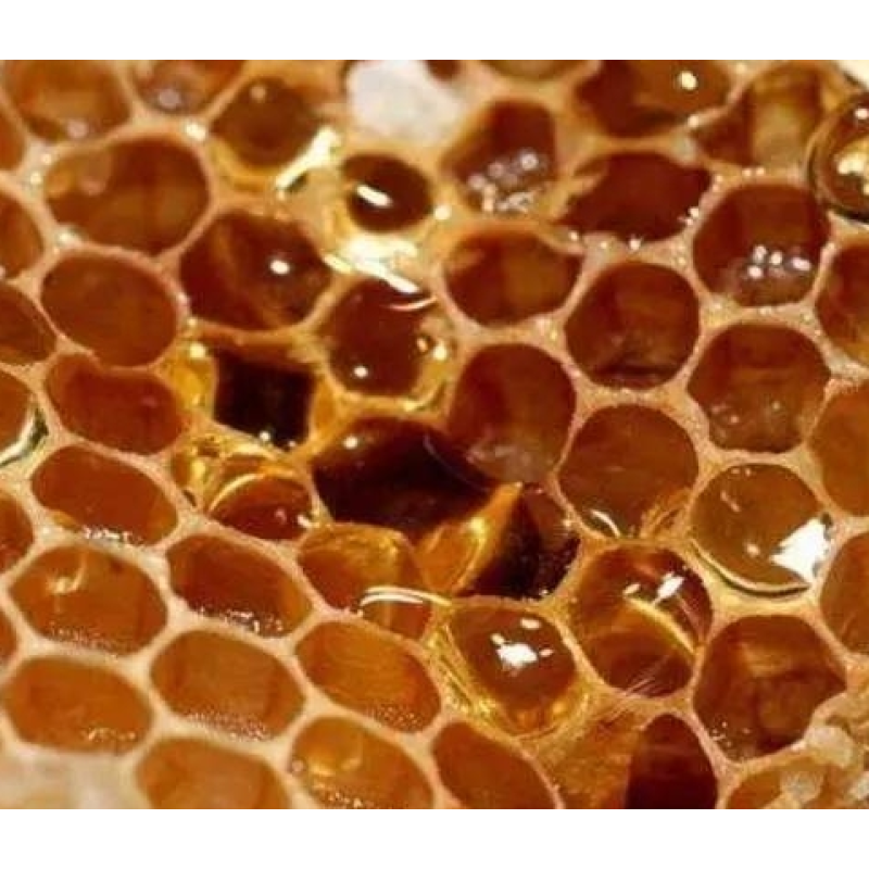 Raw Honey Comb Factory - Wholesale Custom Organic Honey