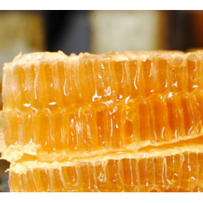 Premium Honeycomb Manufacturer - OEM Custom Comb Honey