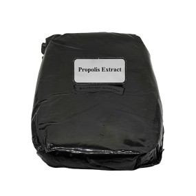 Solid Propolis Extract Manufacturer - OEM Custom PAHs Europe