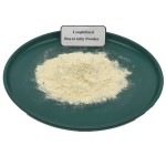Lyophilized Royal Jelly Powder Factory - OEM Custom Max 10HDA