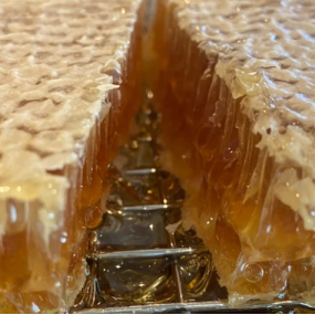 Natural Honeycomb Manufacturer - OEM Custom Box Packaging