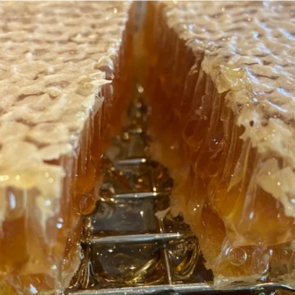 Natural Honeycomb Manufacturer - OEM Custom Box Packaging