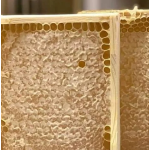Premium Honeycomb Manufacturer - OEM Custom Comb Honey