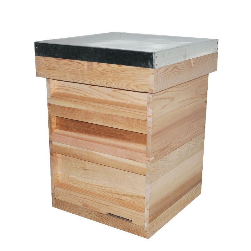 Pine Bee Hive Manufacturer - OEM Custom UK National
