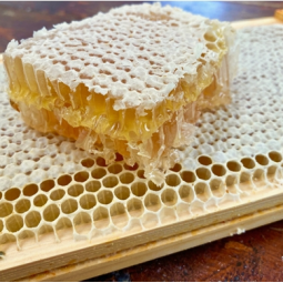 Food Grade Honeycomb Factory - OEM Custom Organic Supplement