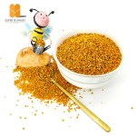 Fresh Bee Pollen Manufacturer - OEM Custom Bulk Pollen