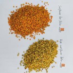 Mixed Bee Pollen Manufacturer - Wholesale Custom Organic Rape
