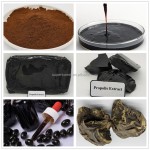 EU Propolis Powder Manufacturer - OEM Custom Water Soluble