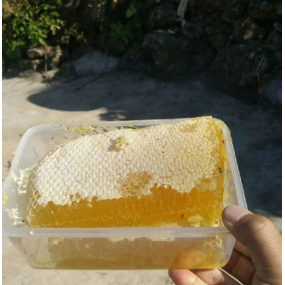 Raw Honeycomb Manufacturer - OEM Custom Unfiltered Beehive