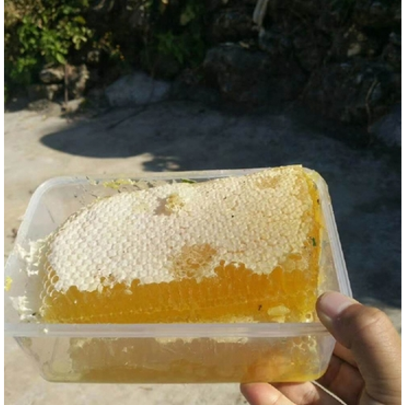 Raw Honeycomb Manufacturer - OEM Custom Unfiltered Beehive