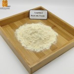Lyophilized Royal Jelly Powder Factory - OEM Custom 6% 4% 2%