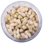 Drone Pupa Powder Manufacturer - OEM Custom Unflavored Premium