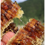 Raw Honeycomb Manufacturer - OEM Custom Unfiltered Beehive