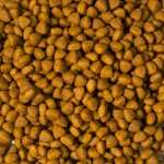 素食宠物食品供应商-代工15公斤素食