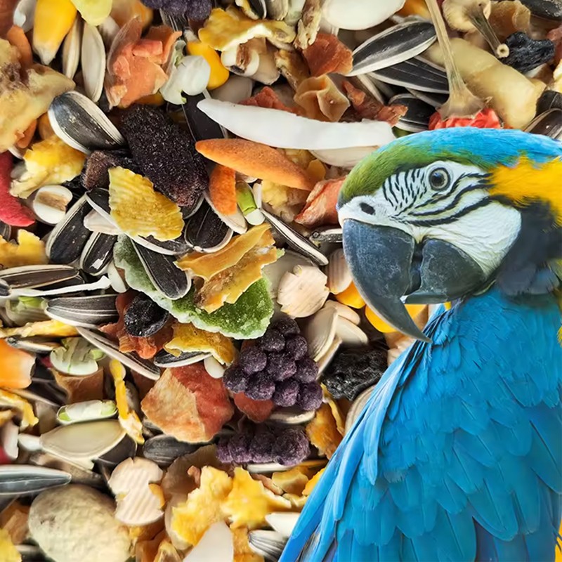 鹦鹉食品生产商-私标混合种子