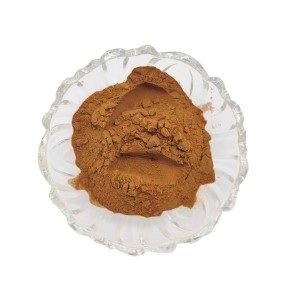 Beef Liver Powder Supplier - Pure Organic Grass Fed