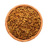 黑水虻幼虫供应商-100%天然干燥