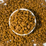 猫干粮厂家-代工5公斤有机批量