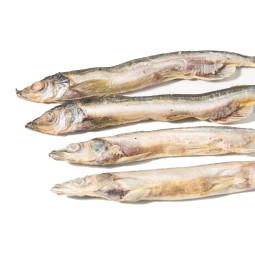 冻干毛鳞鱼厂家-100%天然代工