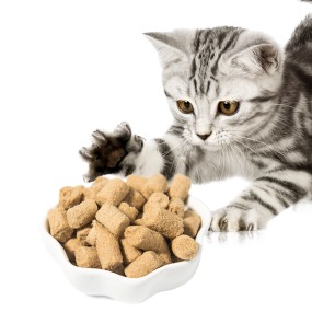 冻干宠物食品生产商-定制生鸡肉