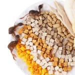 冻干奶酪供应商-代工包装宠物零食