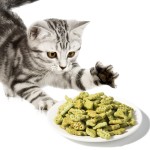 猫薄荷草宠物零食生产商-代工包装