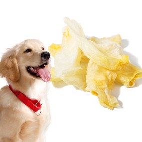 Rabbit Ears for Dogs Manufacturer - Custom Dried OEM