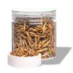 干黑水虻生产商-定制包装