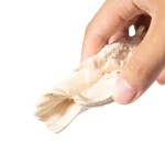 冻干猫食品厂家-定制鸡胸肉