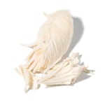 冻干猫食品厂家-定制鸡胸肉